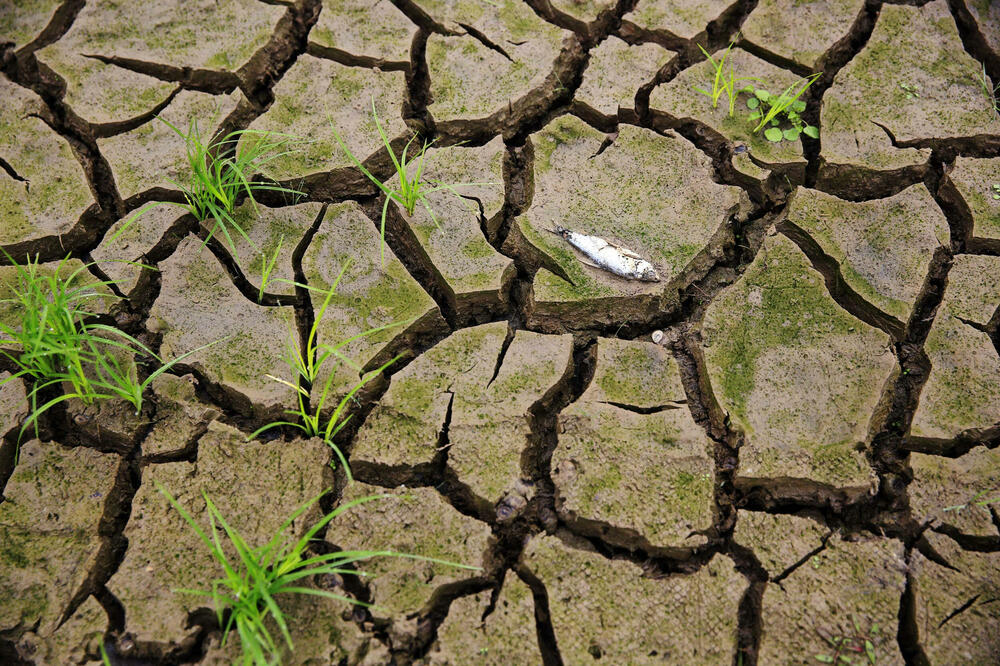 Ilustracija, Foto: Shutterstock