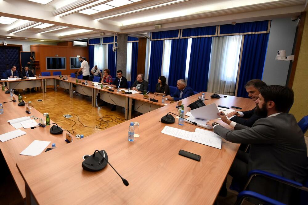 Sa ranije sjednice Odbora za ekonomiju, Foto: BORIS PEJOVIC
