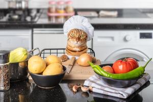 Da li mačke smiju da jedu povrće?