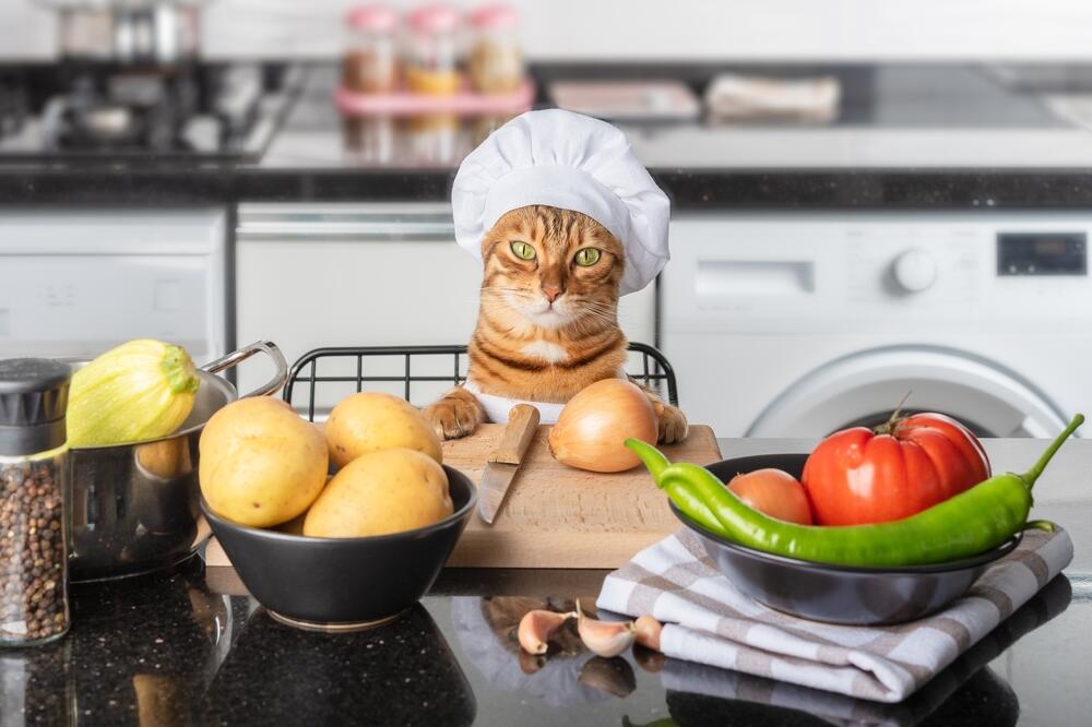 Ilustracija, Foto: Shutterstock