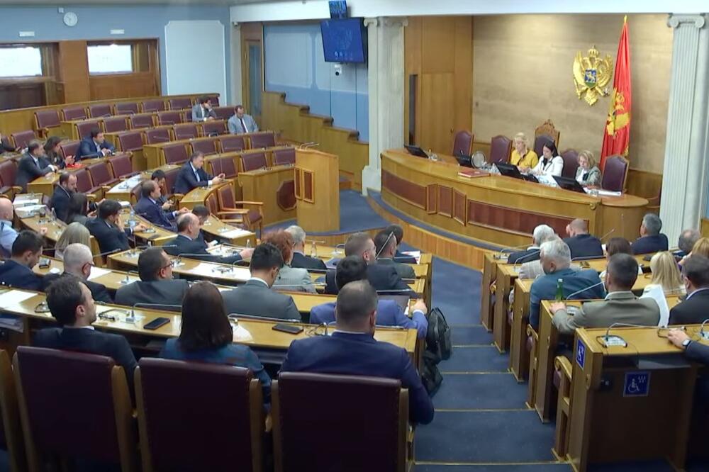 Sa sjednice, Foto: Screenshot/Youtube