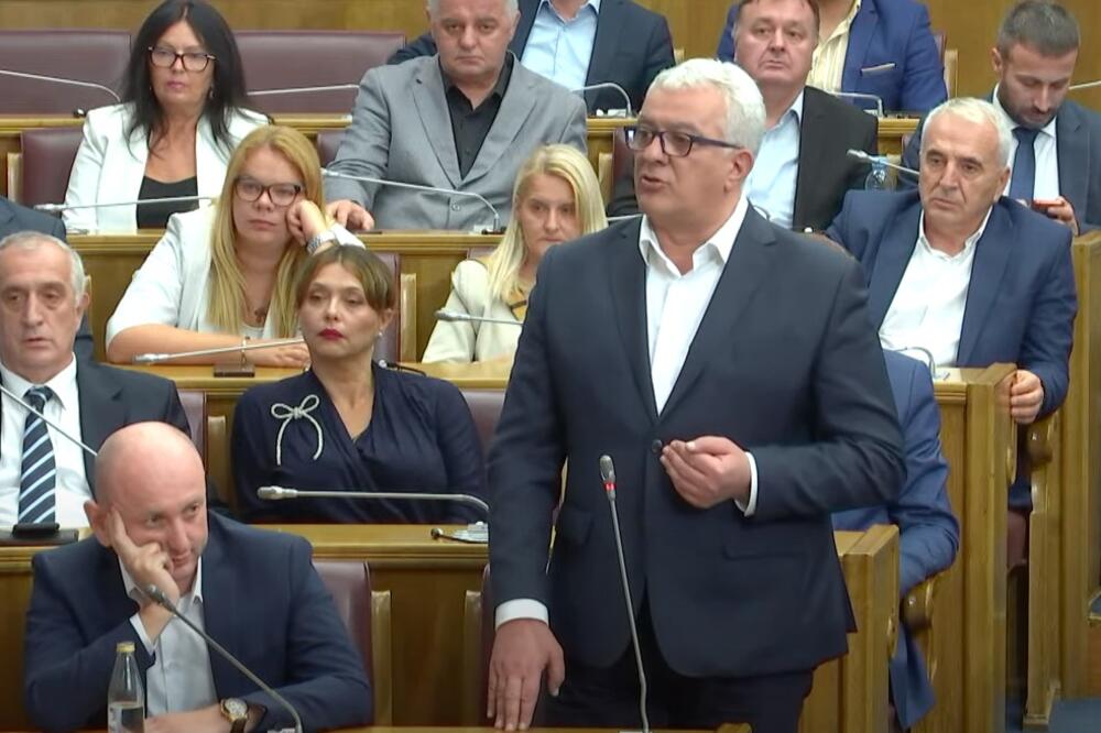 Mandić, Foto: Screenshot/Youtube