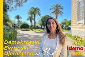 Dabanović: Bićemo uporni dok Ministarstvo prosvjete ne završi i...