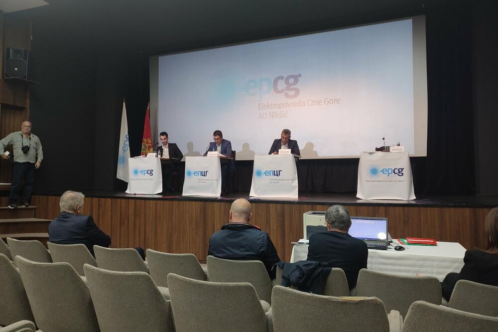 Sa jučerašnje sjednice Skupštine akcionara EPCG, Foto: Svetlana Mandić