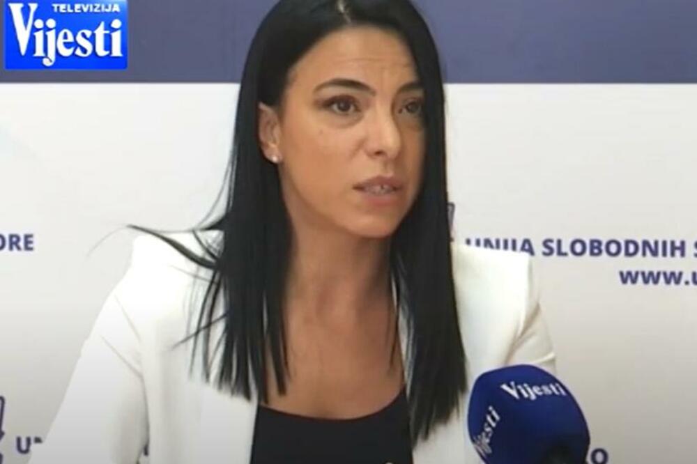 Mihailović, Foto: Printscreen YouTube/Vijesti