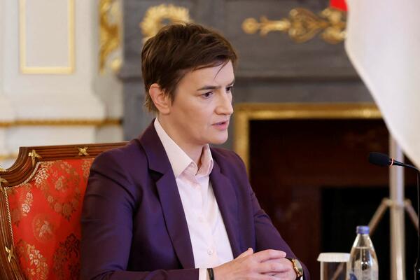 Brnabić: Zabrana uvoza ruske nafte je praktično uvođenje sankcija...