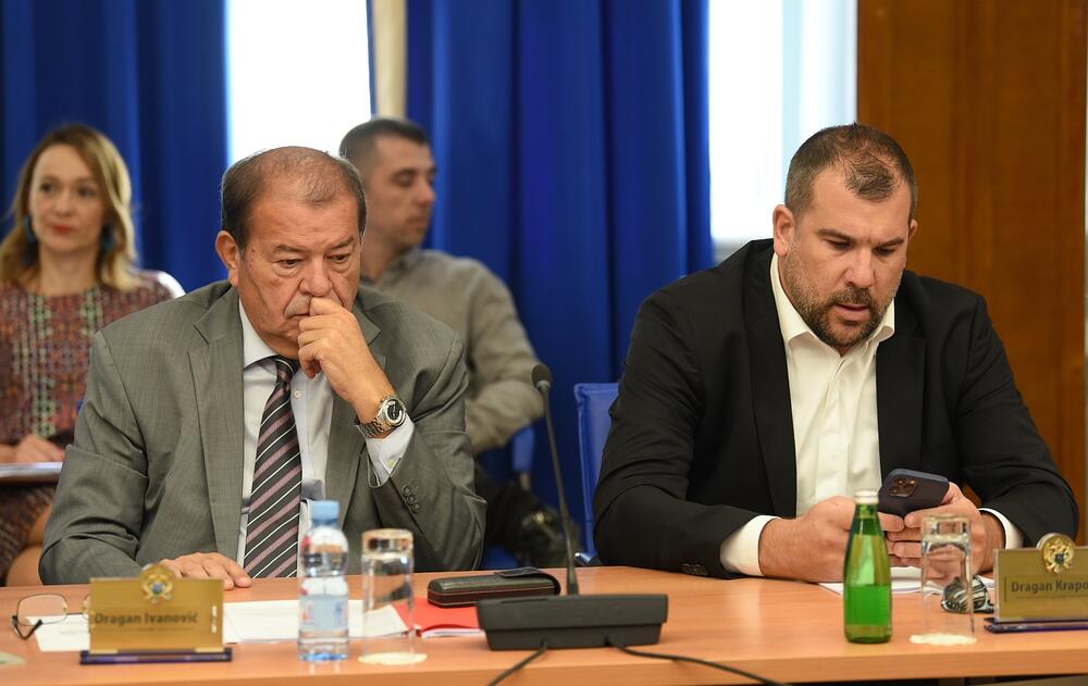 Odbor za bezbjednost i odbranu, Dragan Ivanović, Dragan Koprivica