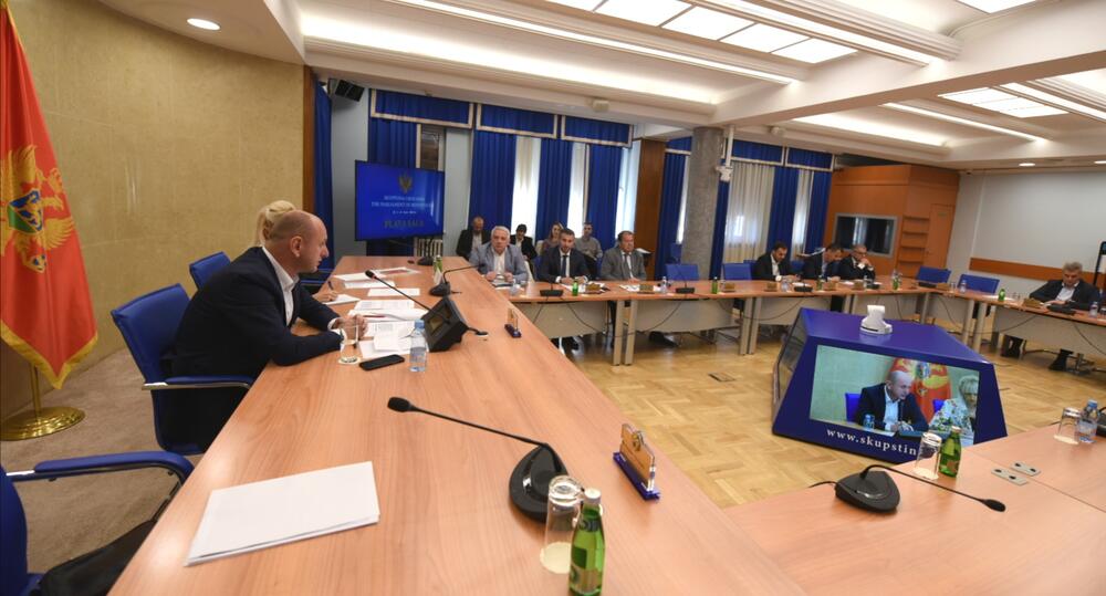 Odbor za bezbjednost i odbranu