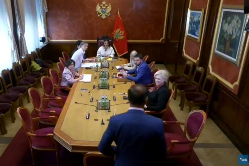 Ustavni odbor, Foto: Screenshot/TV Vijesti