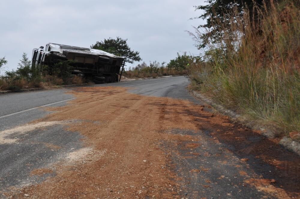 Ilustracija, Foto: Shutterstock