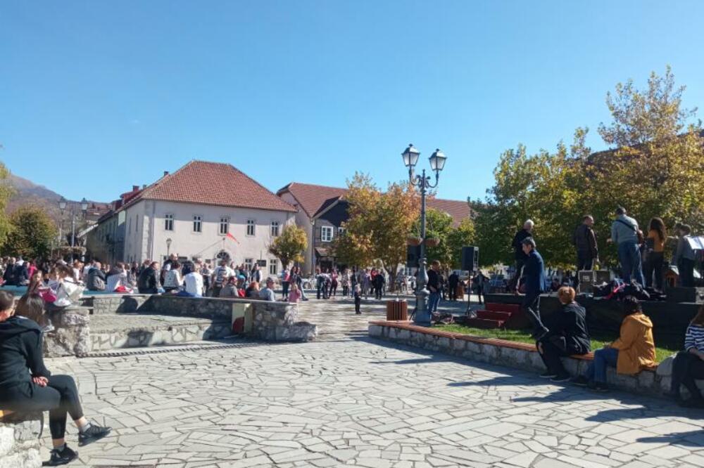 Foto: Dragana Šćepanović