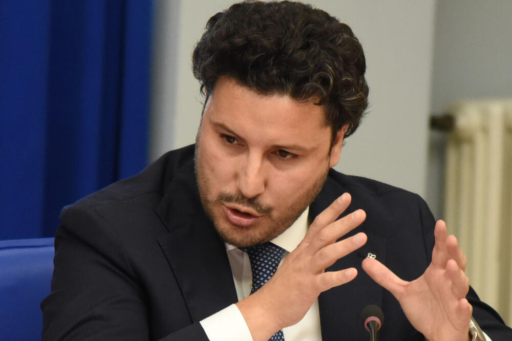 Abazović danas na sjednici Odbora, Foto: Luka Zeković