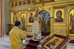 Naša su srca hladna i ropska