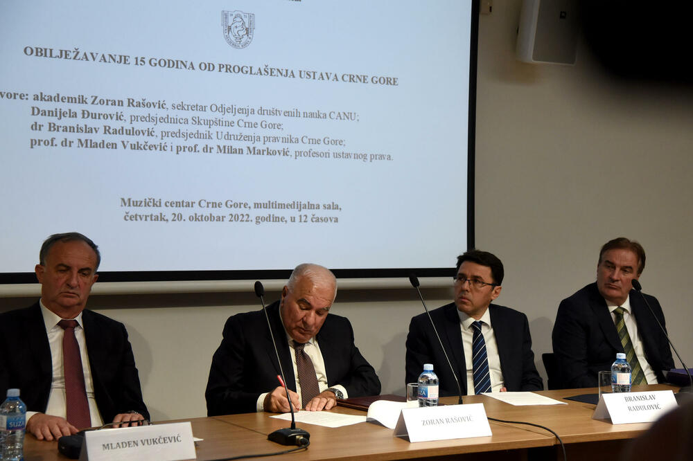 "Ustavna kriza izoštrila ustavne dileme", Foto: Luka Zeković