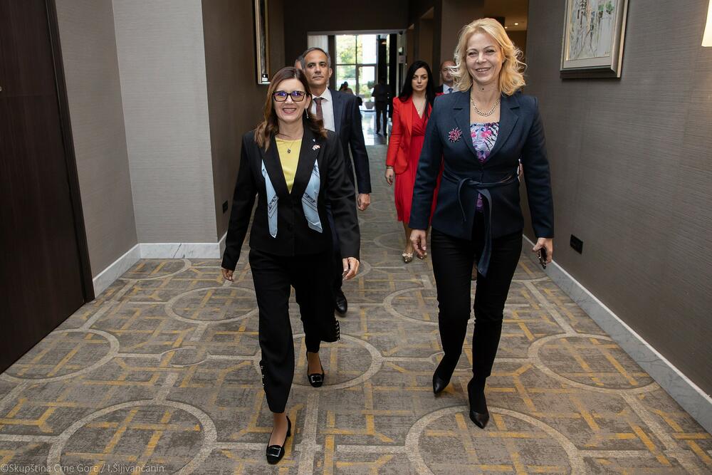 <p>"Zajednički je konstatovano da je Crna Gora i dalje predvodnica u procesu evropskih integracija, te da je potrebno da svi politički akteri daju maksimalan doprinos kako bismo što prije postali članica EU, što je od suštinskog značaja za naše građane koji u velikom procentu podržavaju pristupanje evropskoj porodici naroda"</p>