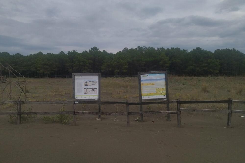 Rehabilitacija opštećene dine: Plaža Evropa Beach, Foto: Samir Adrović