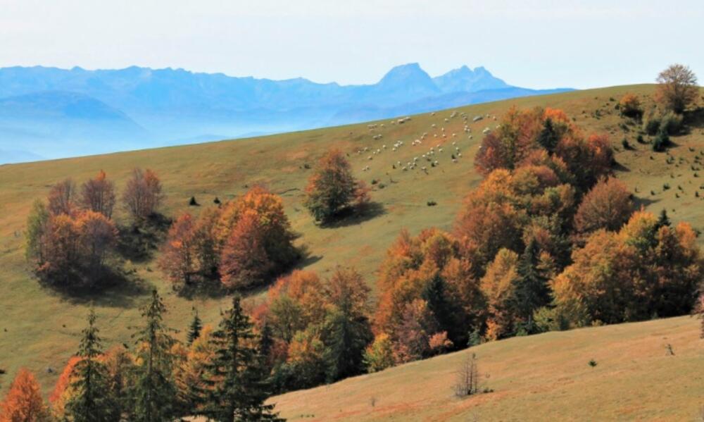 Foto: Jasninaputovanja.me