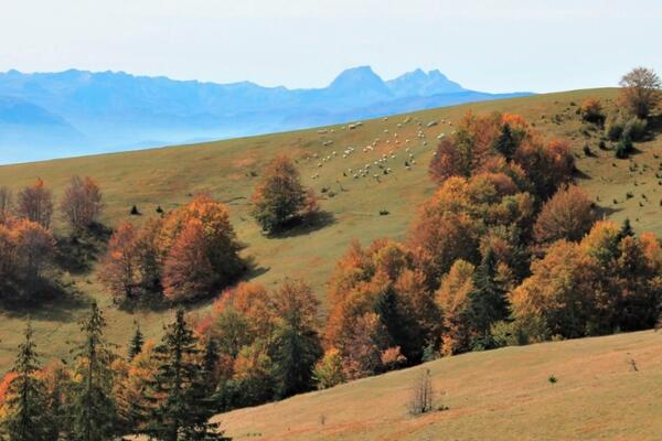 Uživanje u svakom trenutku, u svakom pogledu: Katunski put...