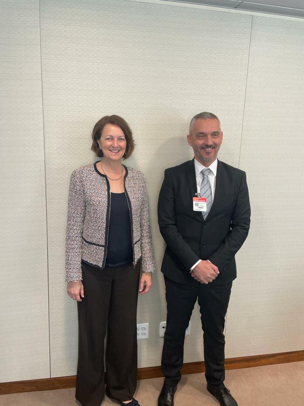 Liza Džonson i Brđanin