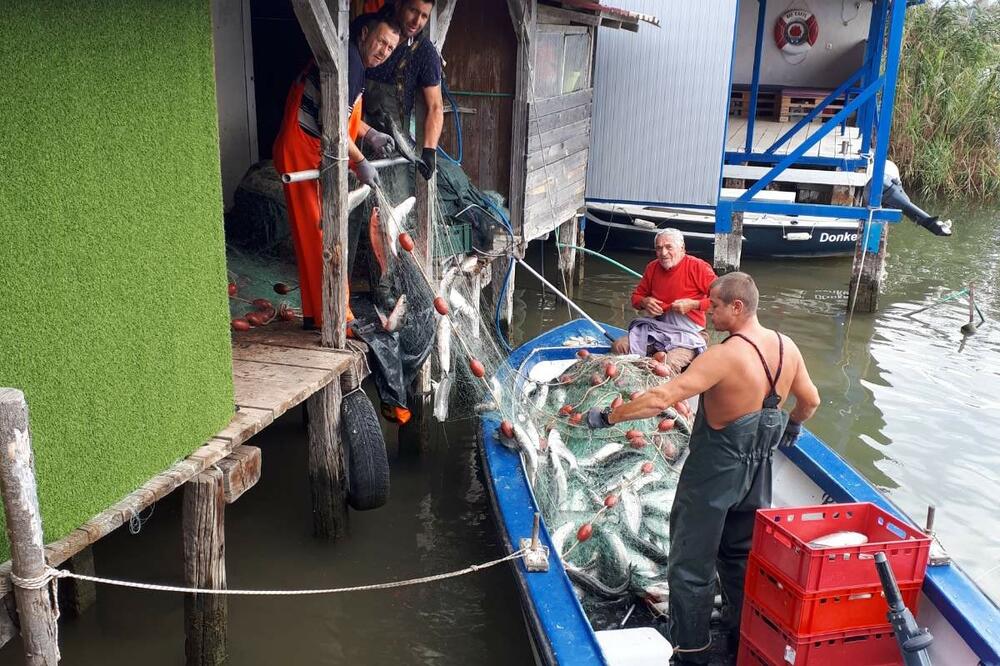 Ove godine poranila, Foto: Privatna arhiva