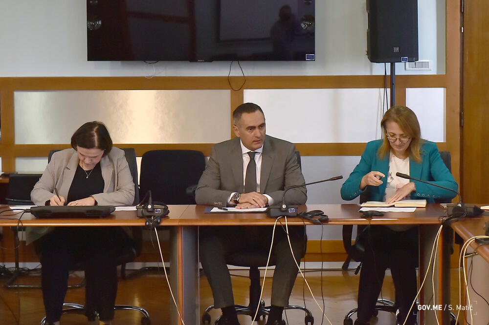 Damjanović (u sredini), Foto: Ministarstvo finansija