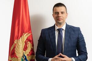 Damjanović: Ispitujemo osnivanje kompanije ToMontenegro