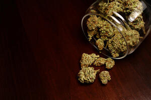 U Tivtu oduzeto preko kilogram marihuane, podnijeta krivična...
