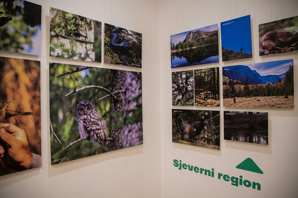 Sa izložbe, Foto: PR Centar