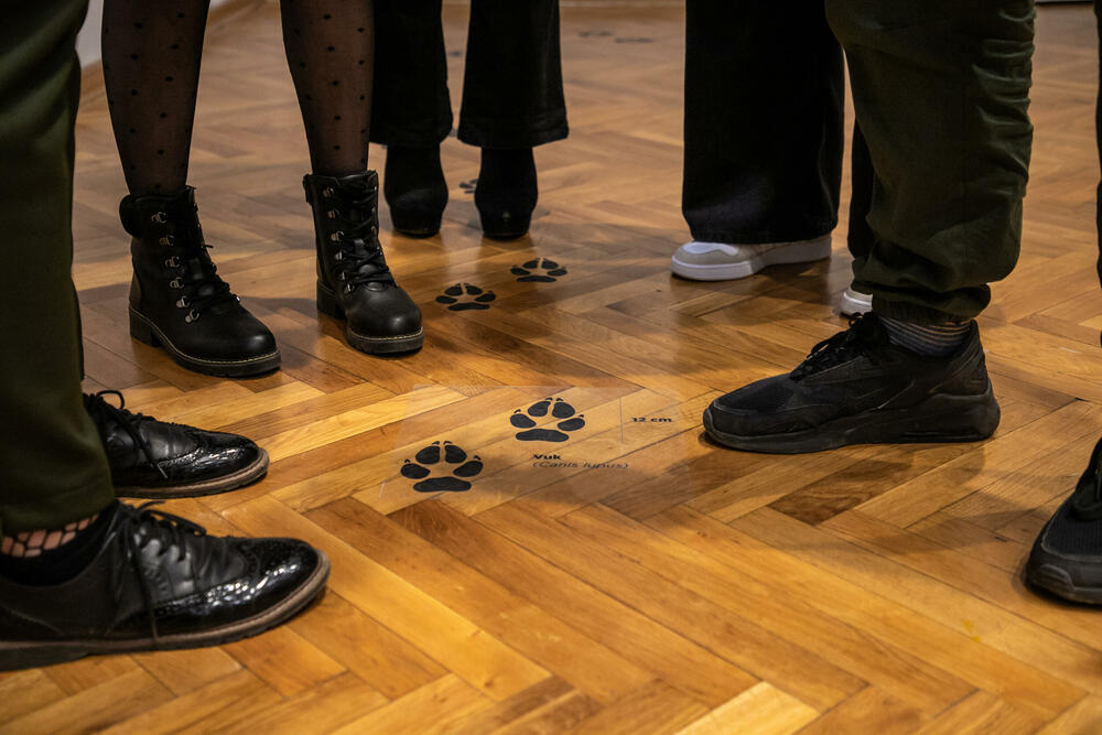 <p>Predstavnica CZIP-a, Nevena Petković, kazala je da su u proteklih 20 mjeseci u okviru projekta BioVal mnogo radili na edukaciji, pogotovo najmlađih</p>