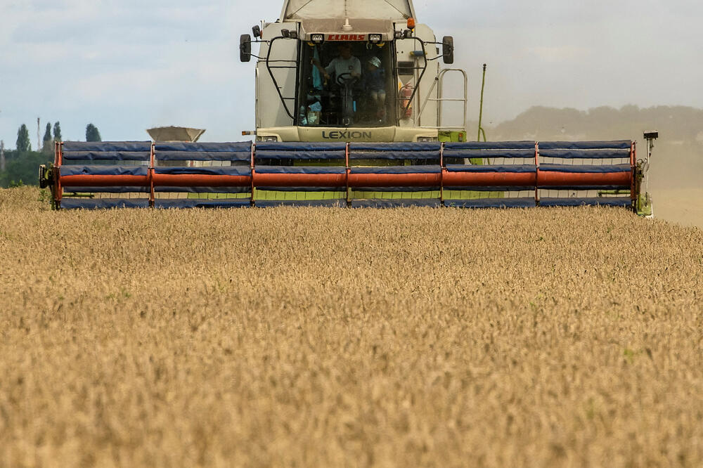 Žetva pšenice blizu ukrajinskog sela Zgurivka u avgustu, Foto: Rojters