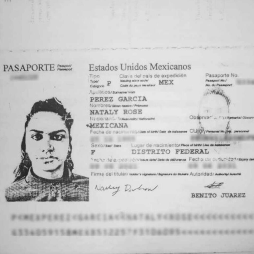 Advokat tvrdi da su promijenili imena i izvadili meksičke pasoše
