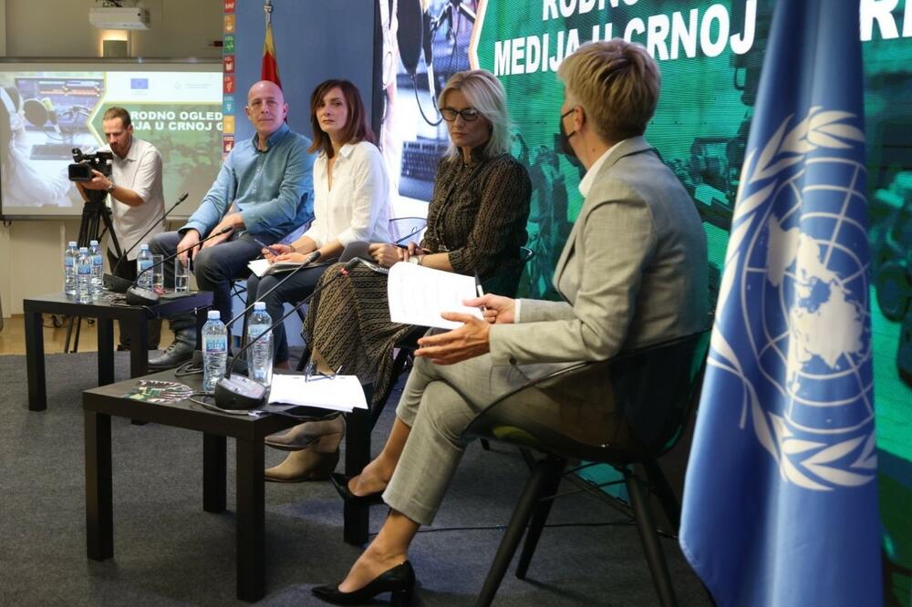 Sa predstavljanja istraživanja, Foto: UNDP