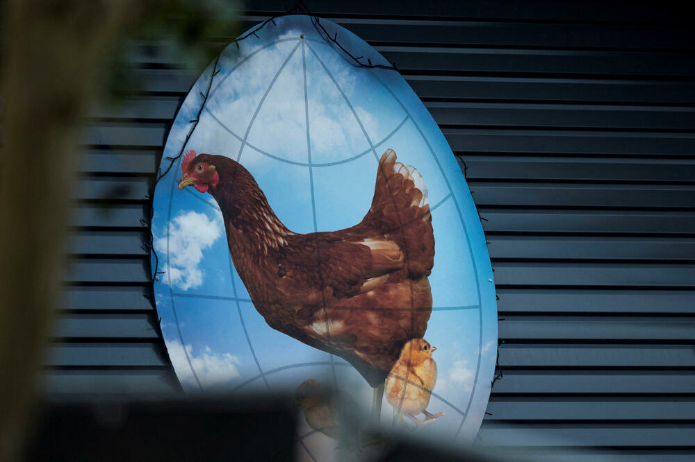 Ilustracija, Foto: Rojters