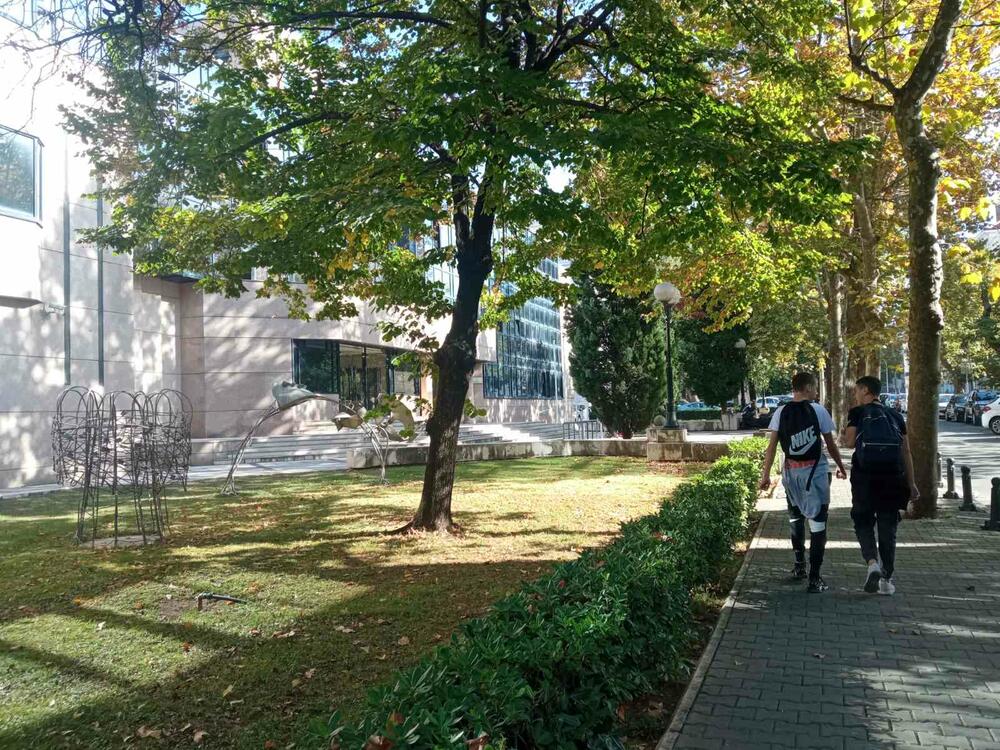 <p>Šef Meteo centra TV Vijesti Dušan Pavićević kazao je da je oktobar bio sedmi najtopliji mjesec od 1949. godine, odnosno, od kada se vrše mjerenja</p>