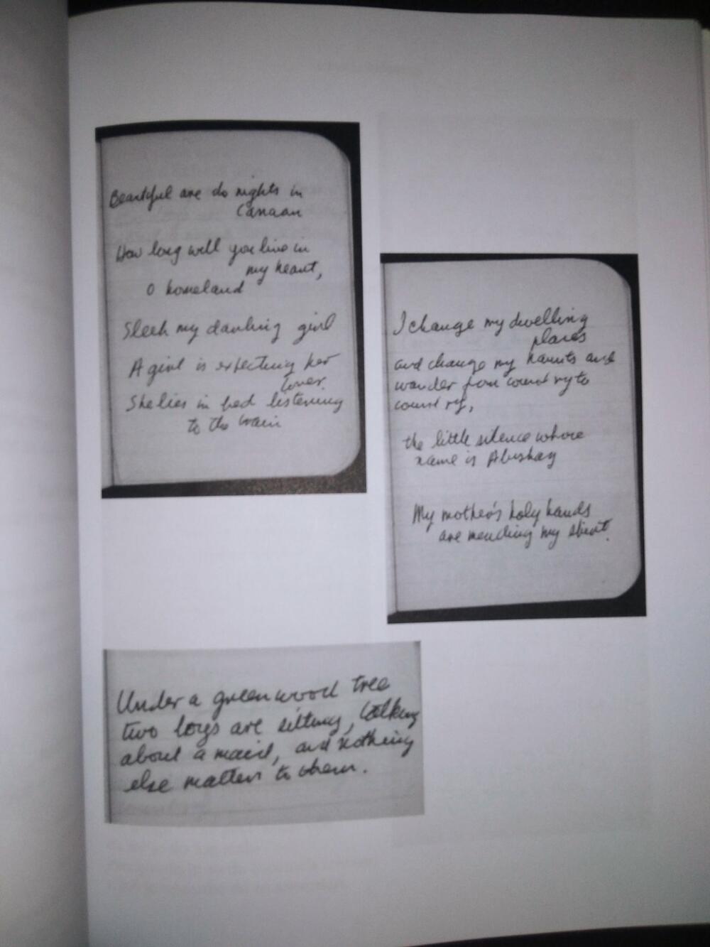 Koenove bilješke dio su ove knjige