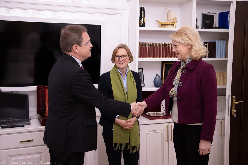 <p>Đurović je, na sastanku sa izaslanicom Ministarstva vanjskih poslova Njemačke Suzan Šuc, izrazila zadovoljstvo rezultatima Samita lidera Berlinskog procesa, te potpisivanjem tri regionalna sporazuma</p>