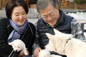 Južna Koreja: Bivši predsjednik će se odreći pasa koje mu je...