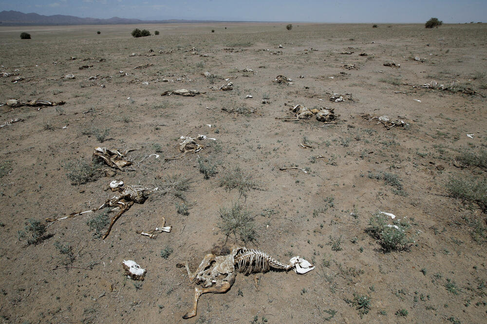 Suša u Keniji (Ilustracija), Foto: Rojters