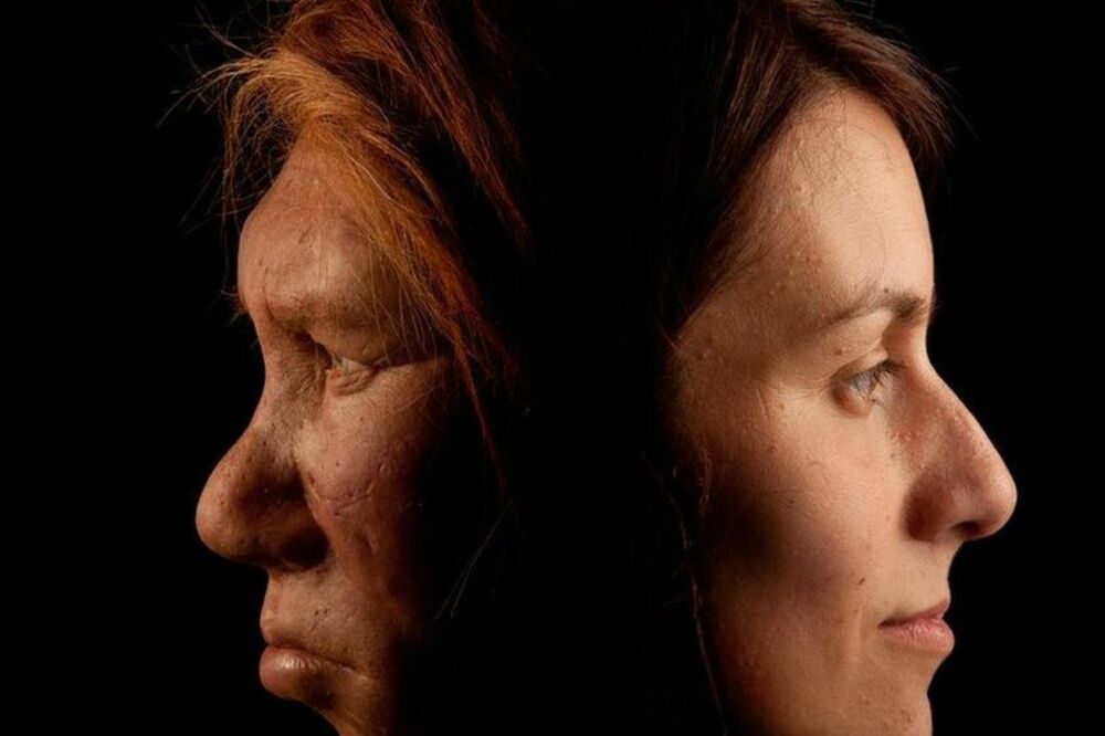 Ukrštanje sa homo sapijensom moglo je da odigra ključnu ulogu u istrebljenju neandertalaca, pokazuje nova studija, Foto: Getty Images