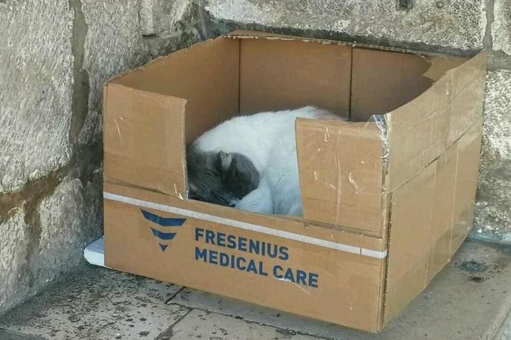 Dubrovčanin Srđan Kera je krajem marta napravio drvenu kućicu za Anastaziju u duhu Kneževog dvora, Foto: Tihana Zvone