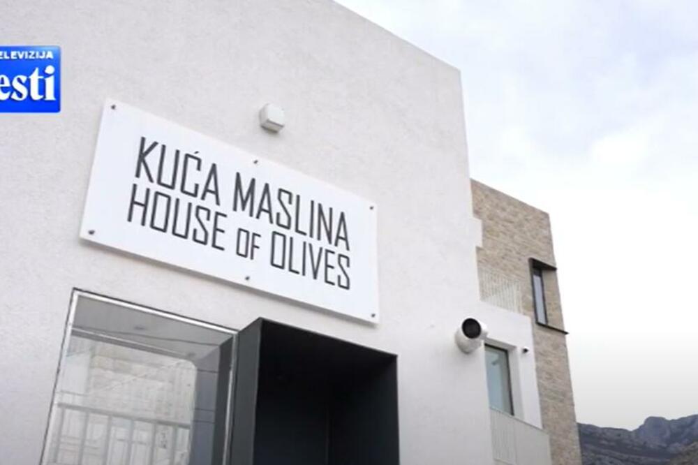 Sjedište Kuće Maslina, Foto: Printscreen YouTube