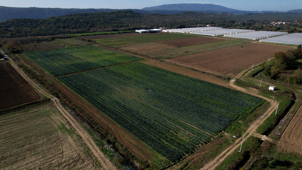 <p><em>Bliži se kraj kalendarske godine, a proizvodnja na Šasu teče prema planu</em></p>