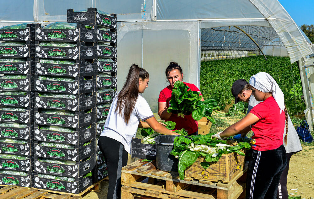 <p><em>Bliži se kraj kalendarske godine, a proizvodnja na Šasu teče prema planu</em></p>
