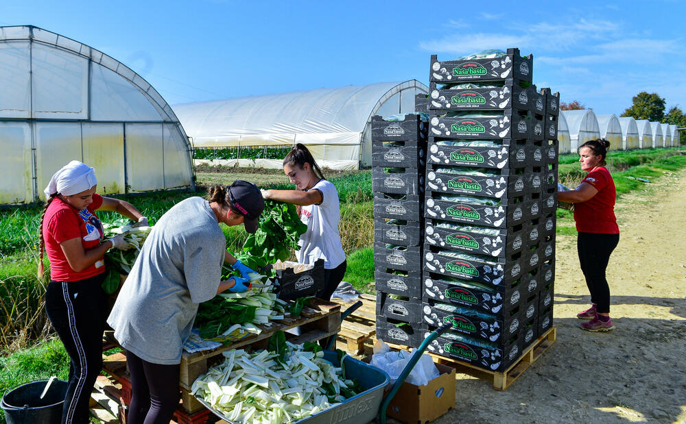 <p><em>Bliži se kraj kalendarske godine, a proizvodnja na Šasu teče prema planu</em></p>