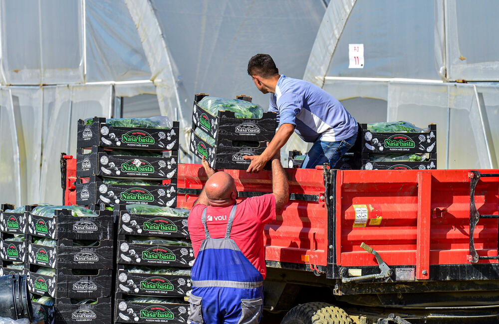 <p><em>Bliži se kraj kalendarske godine, a proizvodnja na Šasu teče prema planu</em></p>