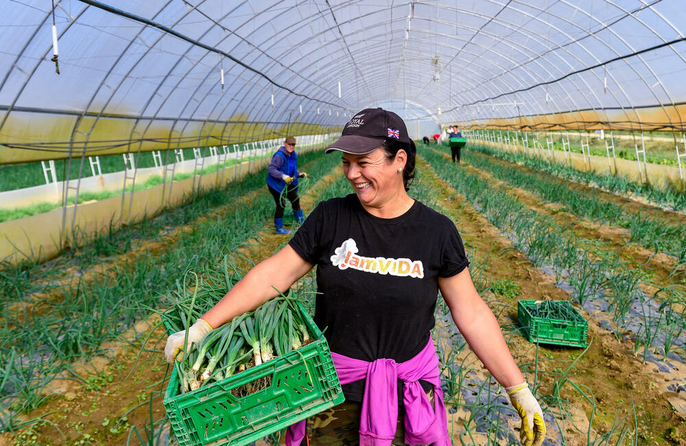<p><em>Bliži se kraj kalendarske godine, a proizvodnja na Šasu teče prema planu</em></p>