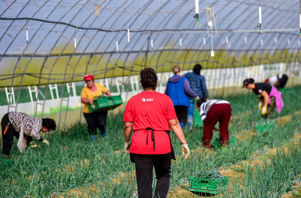 <p><em>Bliži se kraj kalendarske godine, a proizvodnja na Šasu teče prema planu</em></p>