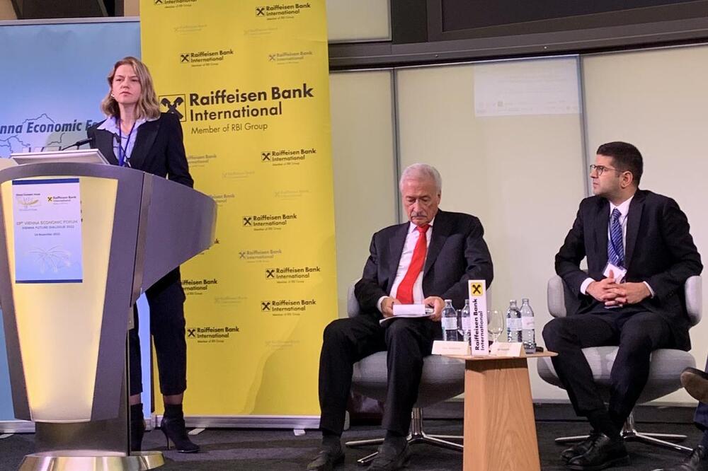 Obraćanje Drakić, Foto: PKCG