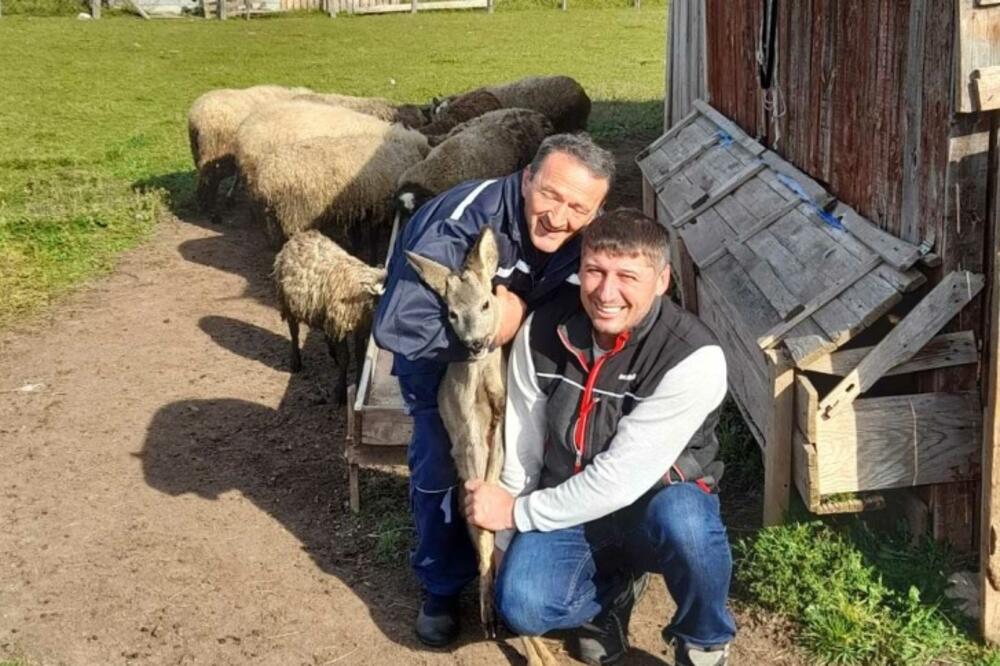 Srndać će danas u šumu, Foto: Privatna arhiva