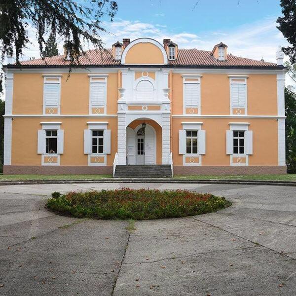 DRI: Diskrecione odluke mimo procedura ugrozile zakonitost rada...